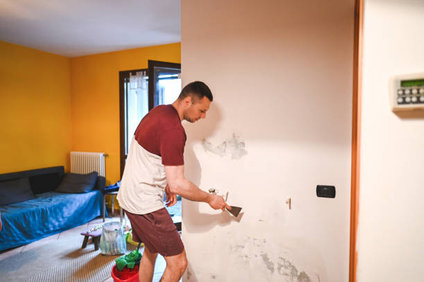 Best Mold Removal Near Me  in Franklin Furnace, OH